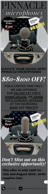 New Pinnacle Microphones Vinnie w/ Lundahl Deluxe | Long Ribbon Microphone | Lundahl Transformer | Black | Free XLR Cable