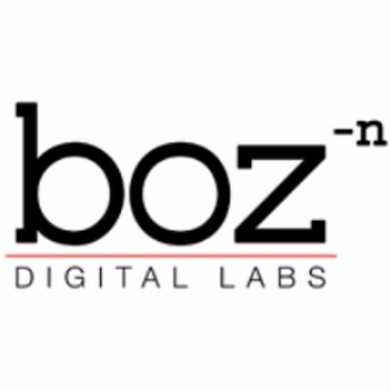 New Boz Digital Labs +10dB Equalizer Virtual Processor Plug-in MAC PC VST AAX AU (Download/Activation Card)