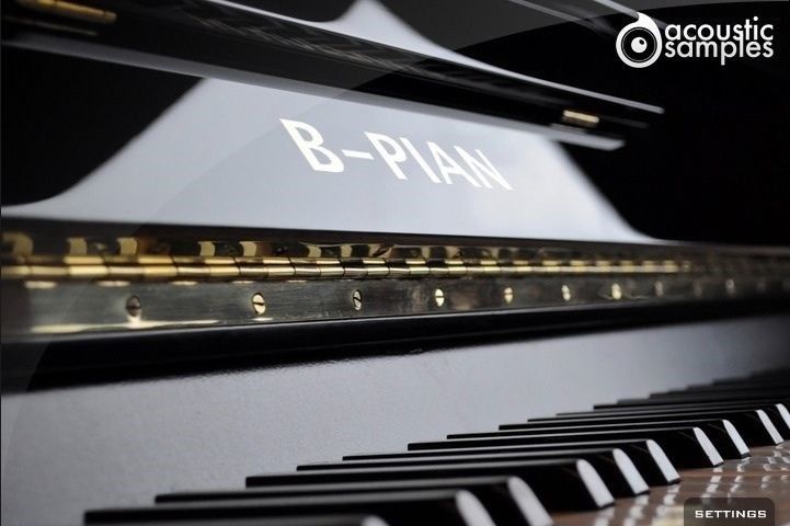New AcousticSamples B PIAN  Upright Bad Piano Mac/PC Software (Download/Activation Card)